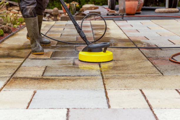 Best Parking Lot and Garage Cleaning  in Roxana, IL